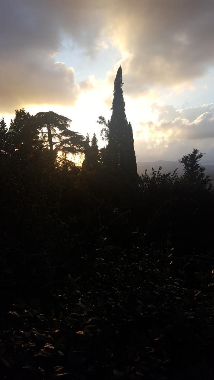 Locanda Nel Cassero Civitella Marittima Ngoại thất bức ảnh